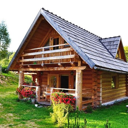 Lesniowka Domki W Karpaczu Kültér fotó