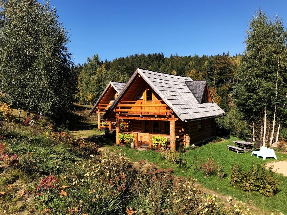 Lesniowka Domki W Karpaczu Kültér fotó