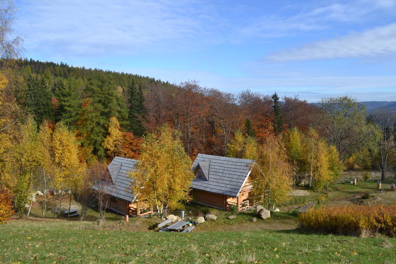 Lesniowka Domki W Karpaczu Kültér fotó
